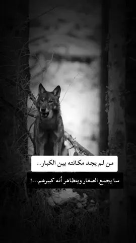 #fyp #f #F #شلفاوة_والحلاوة🔥 #شعب_الصيني_ماله_حل😂😂 