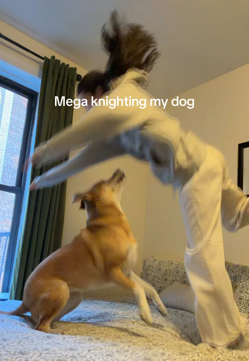 Mega knighting my dog but she wanted to play too 