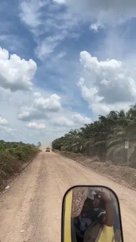 #tangkicpo #truck #cpo #trucksawitkalimantan 