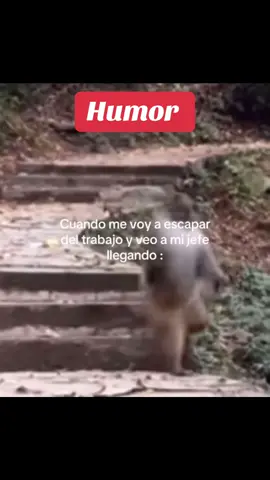 #humor#chiste #feliz #agradesidocondios #mexicandad 