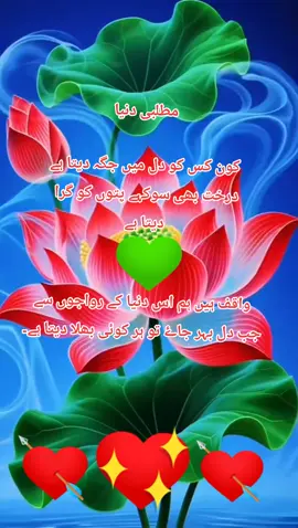 💞🐦💞🐦💞🐦💞🐦💞🐦💔🐦💔🐦💔🐦💔🐦💔🐦❤‍🩹🐦❤‍🩹🐦❤‍🩹🐦❤‍🩹🐦❤‍🩹🐦