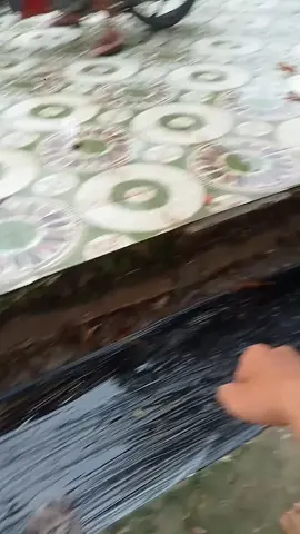 តាមរយៈទឹកឃ្មុំ 🤣😂#xh #khmer #fyppppppppppppppppppppppp #cambodia #khmertiktok 