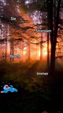 #CapCut #memecut #freunde #humor 