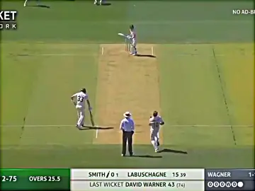Wagner vs Steve Smith New Zealand Test match bowler Wagner.....👀🥵🔥 #fyp #fouryoupage #viral #illu #cricket 