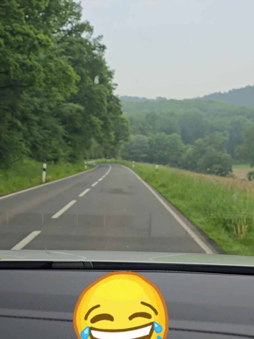 Elektro nein danke....ohne mich 😂😂👋🏻 #elektroauto #auto #fyp #hund #🚶‍♂️❤️ 