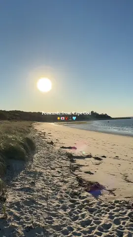 TikTok kinda slayed the editing for this one 🥰 #newengland #capecod #beach #capecodmassachusetts 