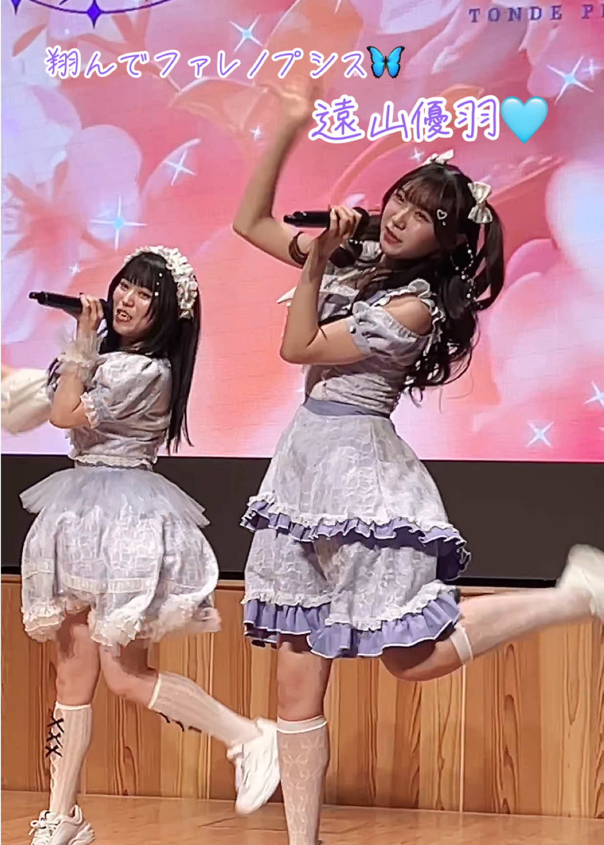 翔んでファレノプシス定期公演 花図鑑 vol1.-Autumn Rose- #翔んでファレノプシス #遠山優羽 #推しカメラ #青ピクミンの中の人