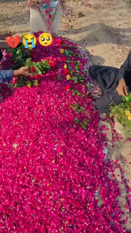 @@hassanhassan1552 @꧁༒☬its zabi☬༒꧂ @Asifhassan @Chand Studioofficial 2chk @Innocent boy ❣️💖💞🔥 @🦅🇸🇦DAsRI_چدھڑ🇸🇦🦅 @علی بھٹی @حماد_۲۸ 