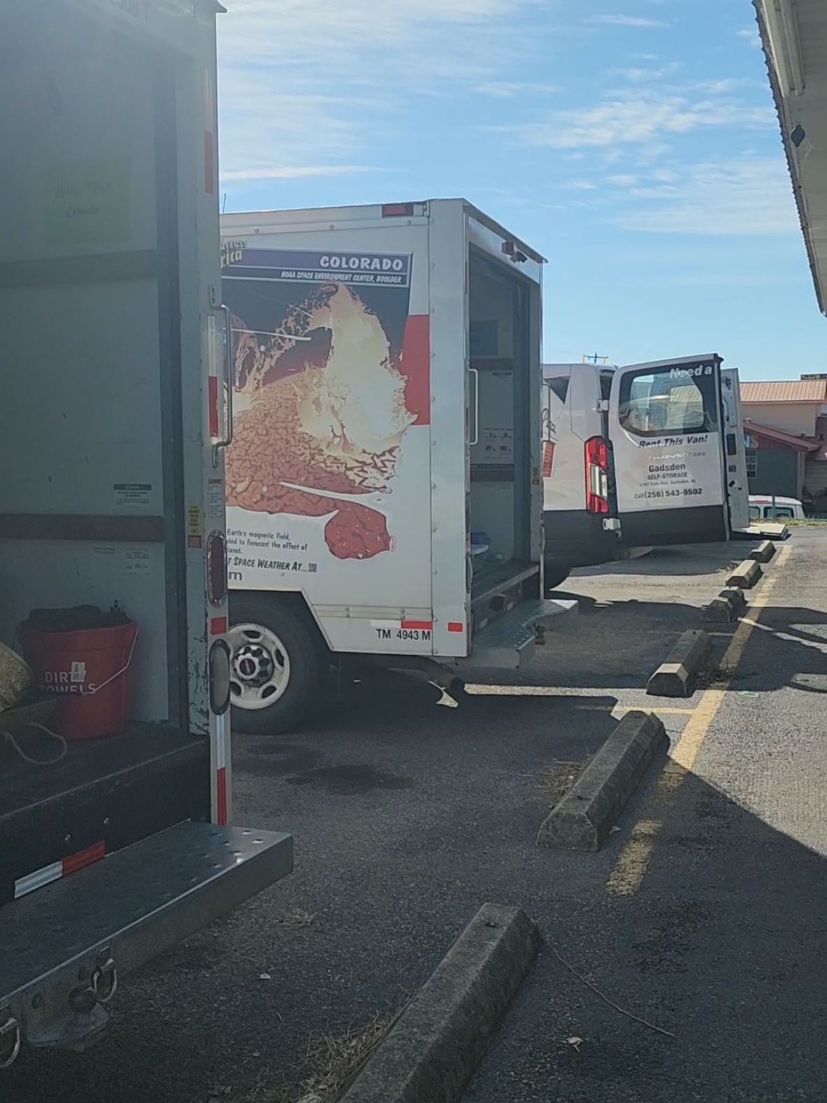 Out here living the dream my mom prayed for. #fyp #weddings #florist 