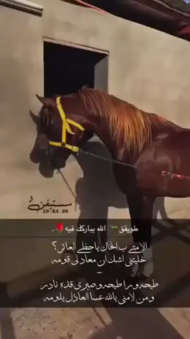 الراحل طويق💔#عز وفخر #العوالق #اكسبلور #الشعب_الصيني_ماله_حل😂😂 