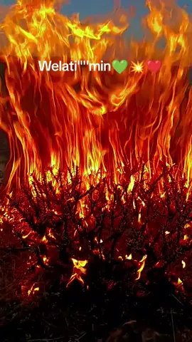 #kefseteyizzz@enso☠️💀 @12_°MEMO_•12 @F A T İ H 🗽 #fypシ゚ #🥀💔 #welatemın 💥💥