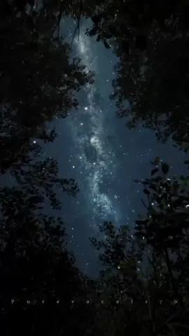 یہ راتیں یہ موسم ندی کا کنارہ ❤️‍🩹 #fyp #foryou #viral #foryoupage #viralvideo 