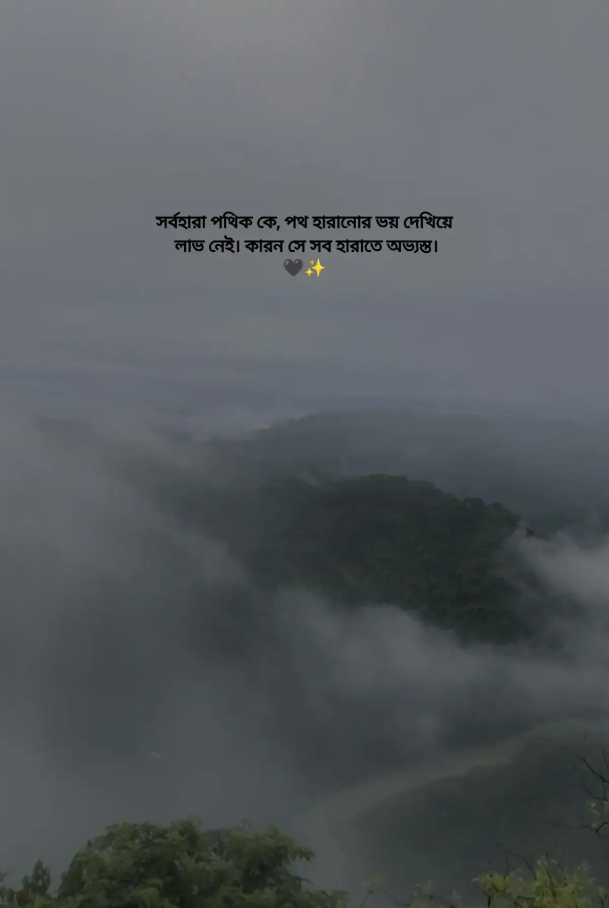 সর্বহারা পথিক কে, পথ হারানোর ভয় দেখিয়ে লাভ নেই। কারন সে সব হারাতে অভ্যস্ত।🖤✨ #foryou #foryoupage #bdtiktokofficial #unfrezzmyaccount 