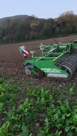 Dans ma nouvelle vidéo, découvrez pourquoi je sème toujours des mélanges ! Une astuce pour des rendements stables et éviter les catastrophes liées aux maladies. Et toi t'utilises cette technique de mélanges de semences ? 🌾 #agriculture #agriculturefrançaise #agriculteur #tracteur #techniqueagricole #culture #récolte #ferme #élevage #technologie #semisdeblé #semis #irrigation #fissurateur #blé #rendement