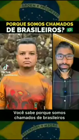 Grande lição de história...saiba por que somos chamados de brasileiros...