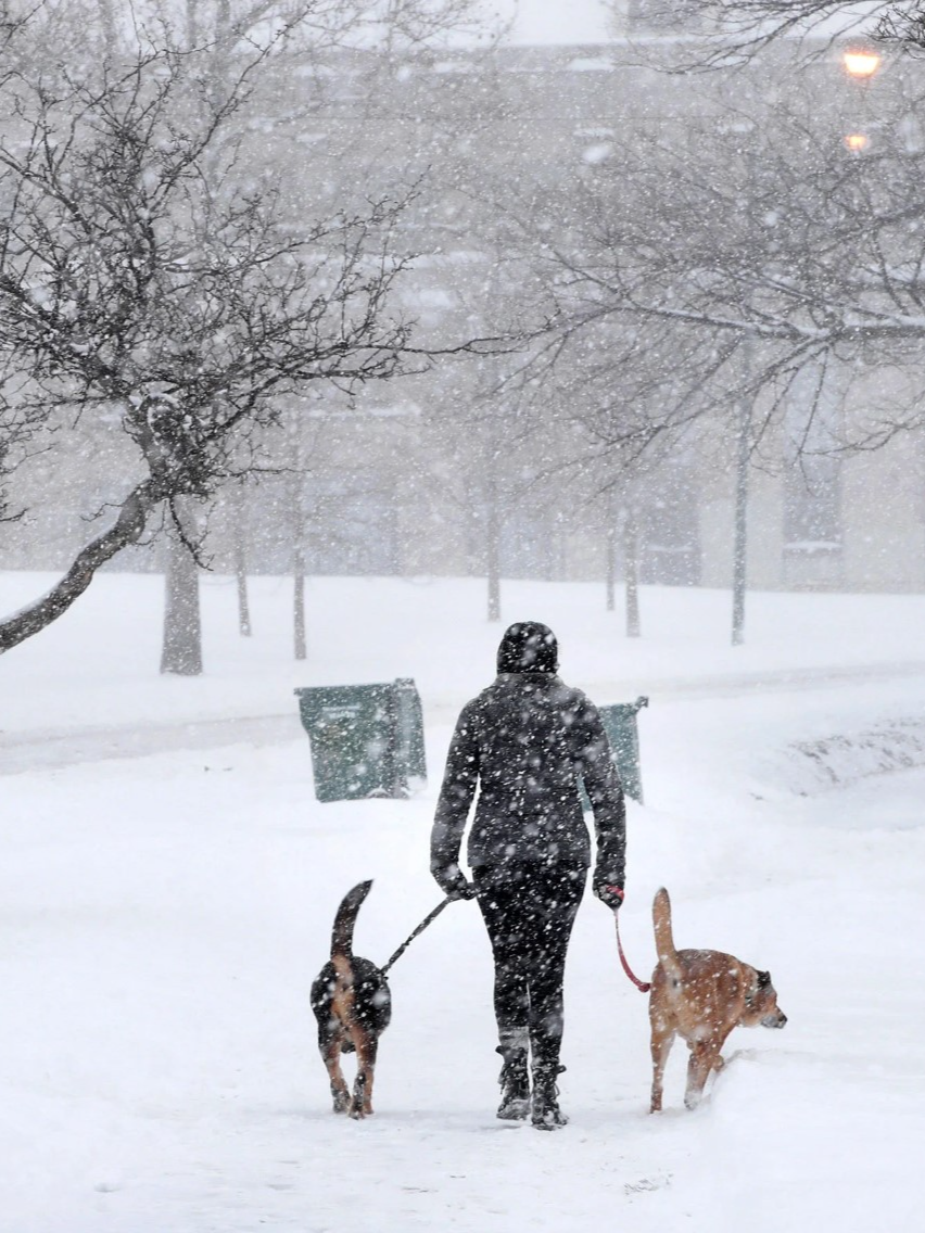The 2025-2026 Chicago winter could be the city's coldest and snowiest in years, all thanks to a weather phenomenon thousands of miles away called 