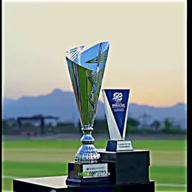 A heartfelt thank you to the Oman Cricket family for establishing this stage, managing it well, and creating a great atmosphere.❤️ #omancricket #fyp #foryou #trending 