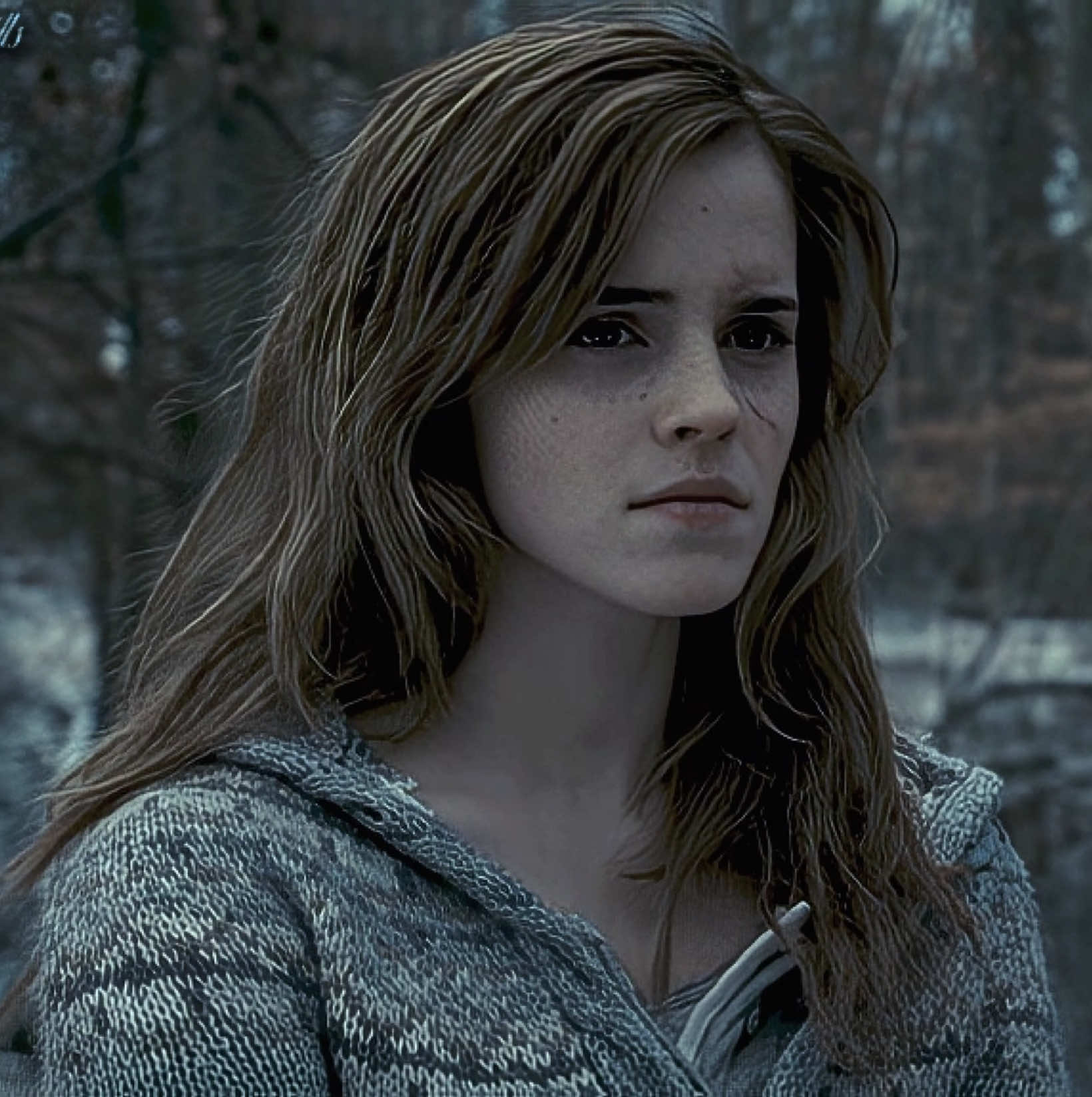 #HERMIONEGRANGER — it did. #hermione #hermionegrangeredit #harrypotter #fyp 