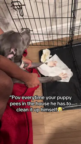 He hates it 😭#fyp #viralvideo 