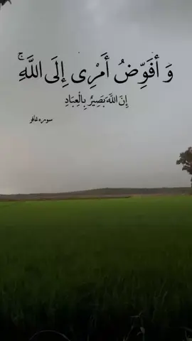 #قران_كريم #صلاح_بو_خاطر #قران  #قران #تلاوة_خاشعة 
