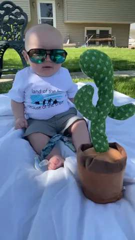 #صبار_راقص #الصبار_المتكلم #العاب_مضحكة #هدايا_مميزة #لعب_أطفال     :          