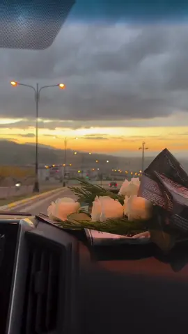 #halabja #creatorsearchinsights #tiktok #foryou #hawler_slemani_dhok_karkuk_hallabja 