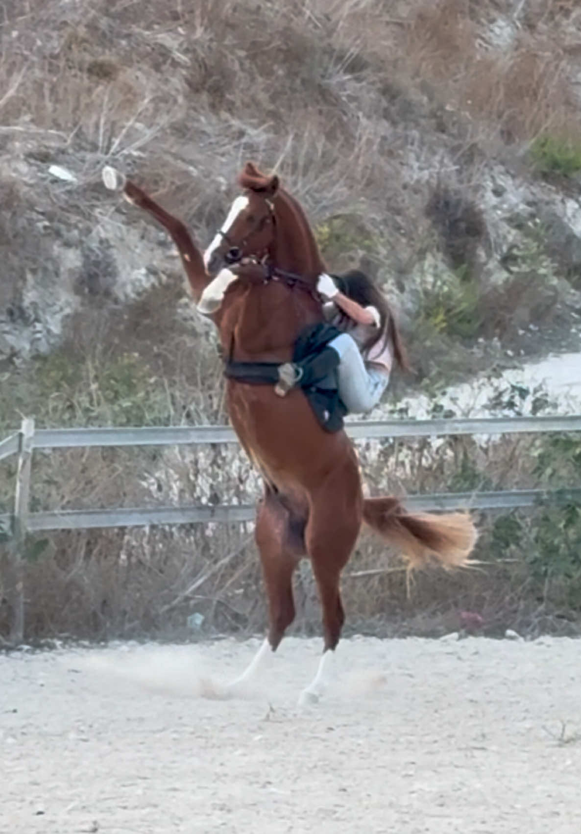 الله يحميك😍 #ماشاءاللہ #اناروز🤎✨ #خيل_وخياله🐎 #ريم_الفـــــــــلا #rim🦋 