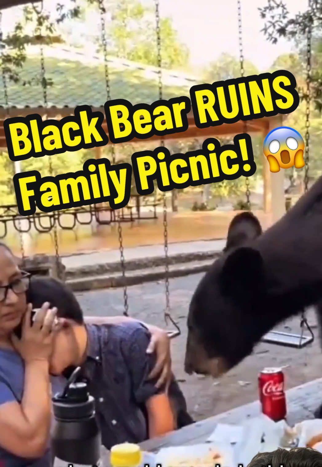 How would you react if a black bear decided to join your family picnic? 😅🐻 Let us know in the comments! 👇 #HowToSurvive #Survival #SurvivalTips #BlackBear #Bears