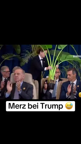 #memestiktok #memesdaily #memes #funnytiktok #comedy 