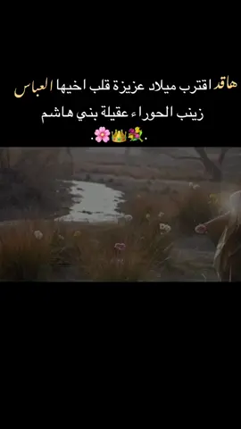 اقترب ولاده زينب الكبرى🤎..  #ميلاد_الحوراء🎀🎉 #اكسبلور #5جمادى_الاولى_ولادة_السيدة_زينب_الكبرى 