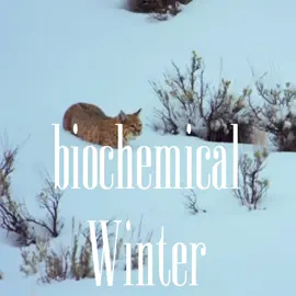 #biochemistry #targetaudience #niche 