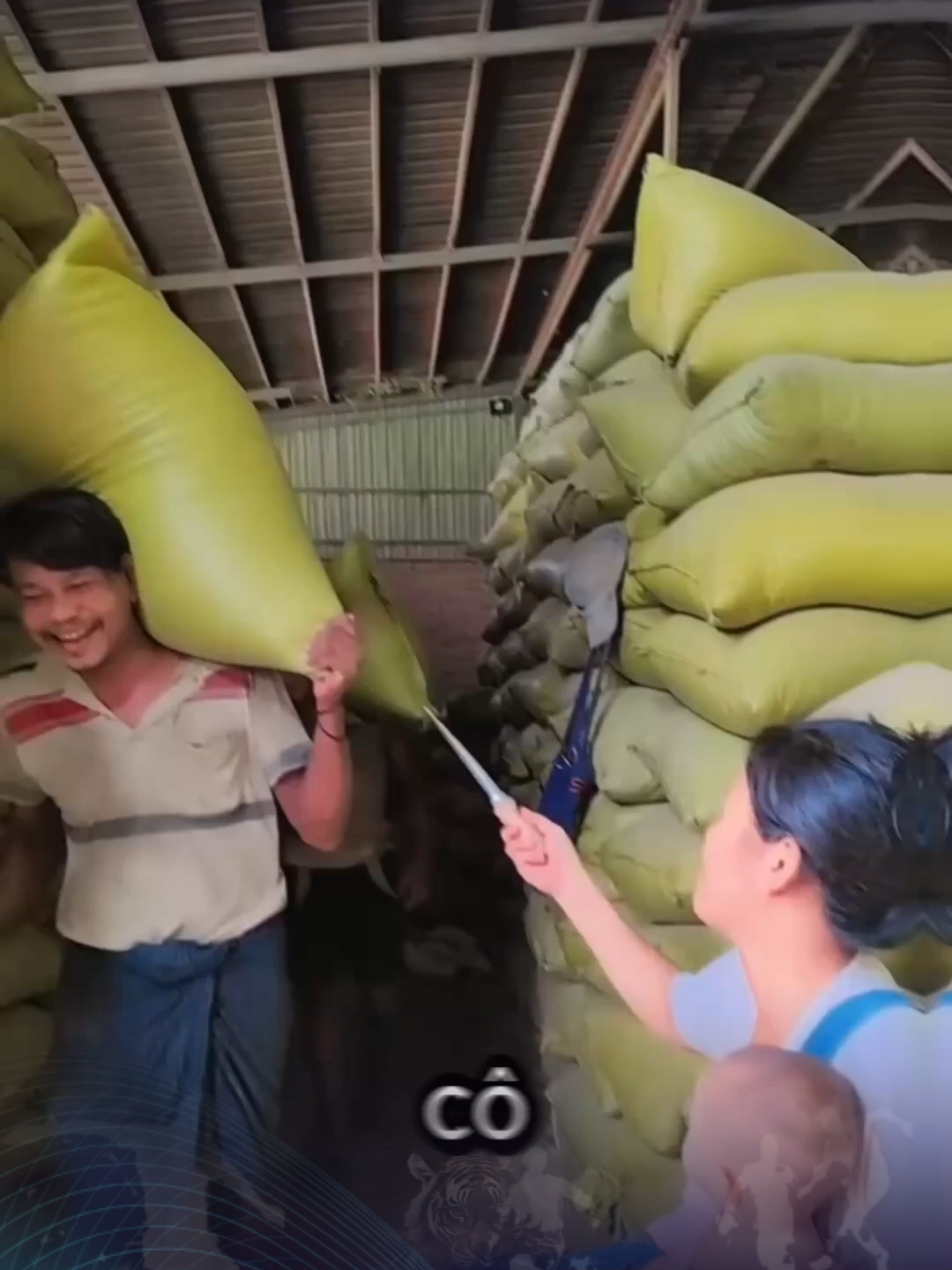 Dụng Cụ Lấy Mẫu Ngũ Cốc #trending #giaitri #21media