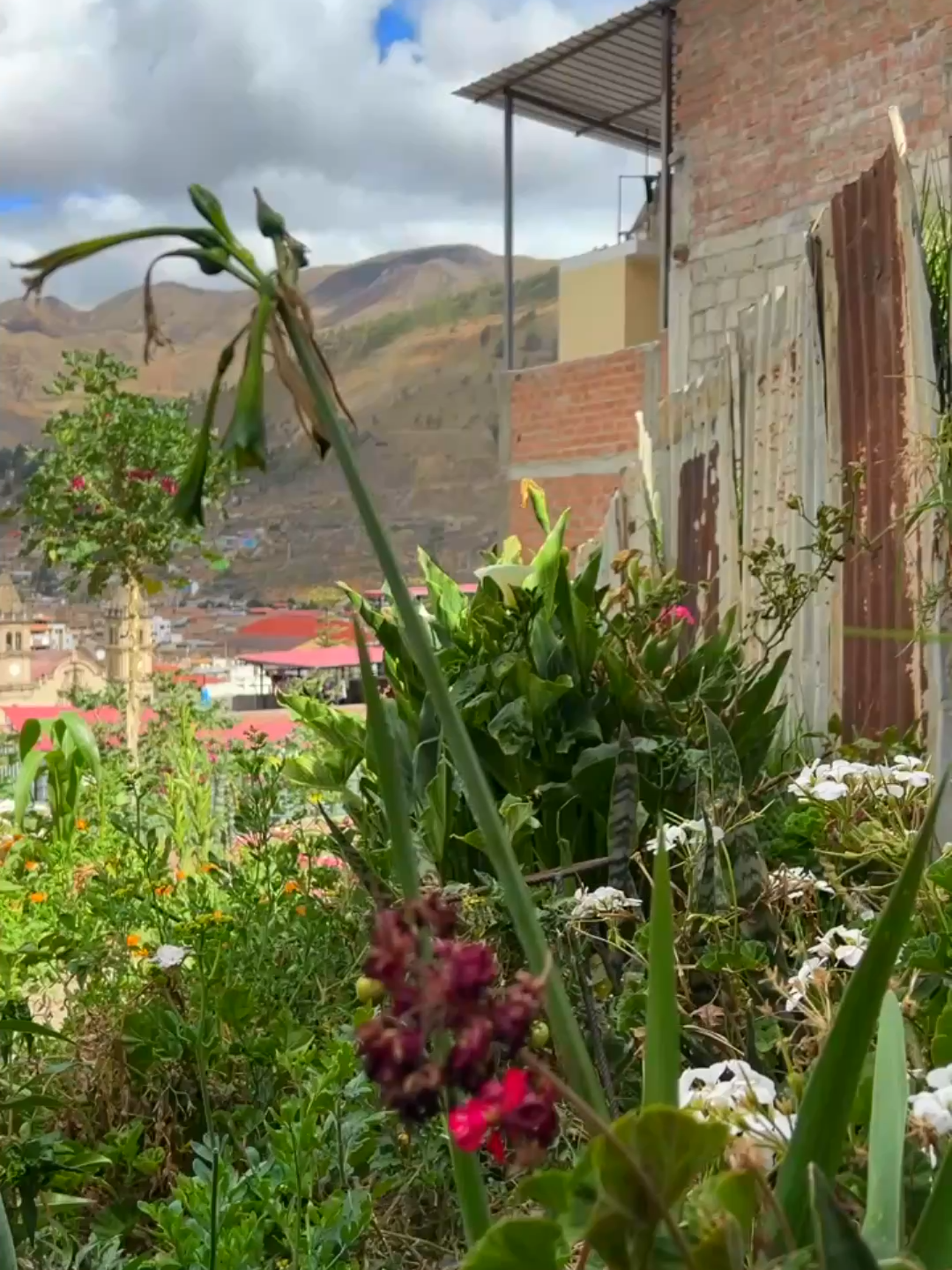 YO SOY DE TARMA - TIERRA DEL PICAFLOR