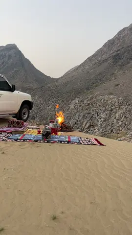 #اكسبلورexplore 