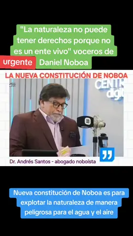 #danielnoboa #laviniavalbonesi 