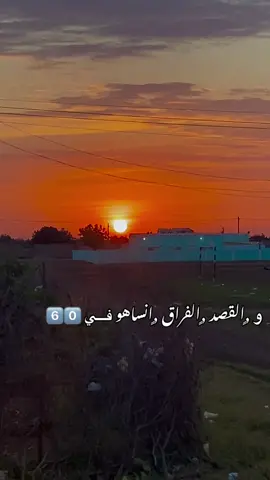 #مشاهير #عرب #الاخوات 