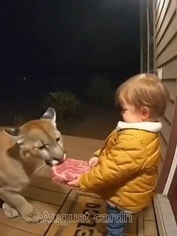 Yo no me llenaba con esa carnecita pero ahora si estoy satisfecho 😎🤟 lomo fino 🔥