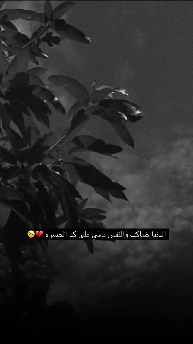 الدنيا ضاكت والنفس باقي على كد الحسره 💔🥺 #foryoupage #fyp #funny 