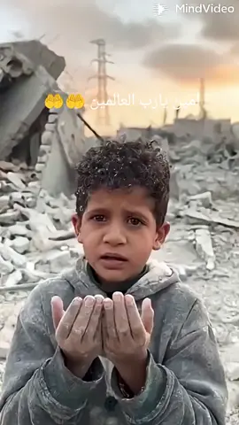 اللهم امين يارب العالمين 🤲🤲