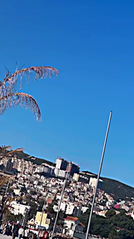 #ليبيا🇱🇾 #الجزائر🇩🇿 #تونس🇹🇳 #اوربا #وهران #عناب #اكسبلورexplore #شعب_الصيني_ماله_حل😂😂😂 #لايك #فولو #فرنسا🇨🇵_بلجيكا🇧🇪_المانيا🇩🇪_اسبانيا🇪🇸 