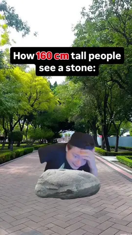 Lol 🤣 #viral #trending #memes #foryoupage #mellstroymemes 