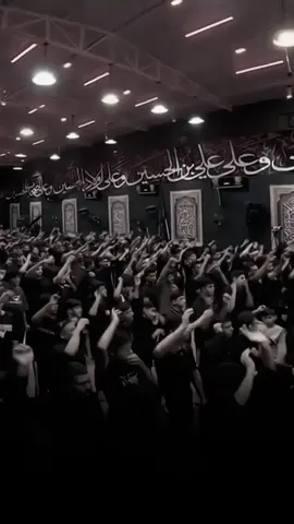 #حيدر_الفريجي_haider_alfri #هيئه_الواء_زينب #يقين_حيدر @حيدر الفريجي Haider Alfriji 