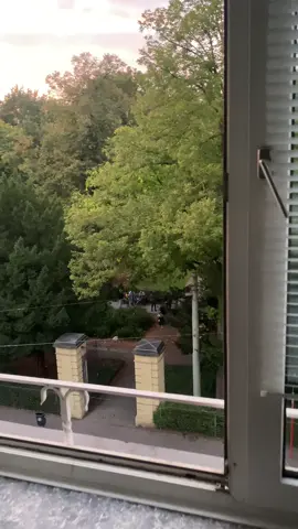 love the vibes #germany #azubi #fyp #ausbildung 