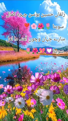 زلفاں حسین ہوسن چہرہ کمال سوہنا 🌷🌺🌷#followmyaccountontiktok🔥💯 #islamicvideo #creatorsearchinsight #foryoupage #followmyaccount 