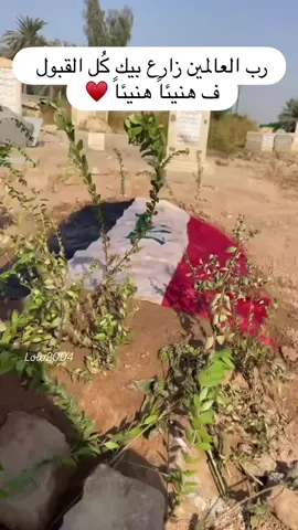 صفاء الحجازي 💔