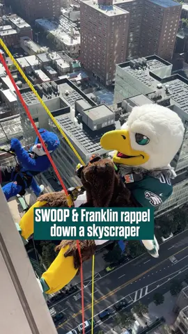 This bird prefers to stay on the ground 😅 #eagles #nfl #swoop #mascot