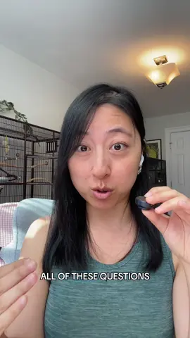 I’m sick of playing nice. It’s time to get real.  #parakeetsoftiktok #budgiesoftiktok #parrotsoftiktok 