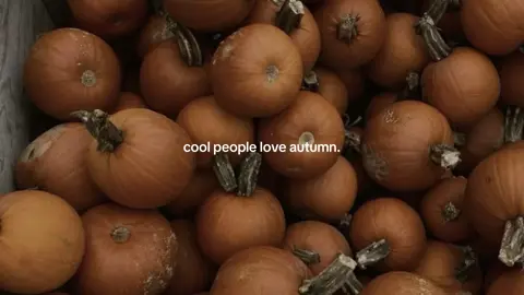 AUTUMN. #autumn #vibe #cozy #autumnaesthetic #season 