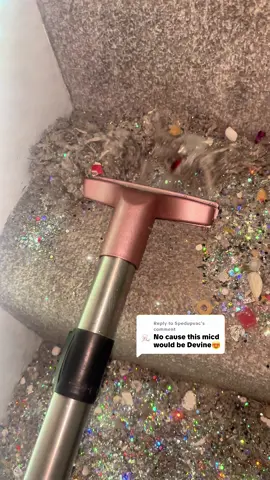 Replying to @Spedupvac Micd With a Sprinkle Of Extra Sparkle ✨.                       #micdup #dirt #sparkles #satisfyingcleanup #fluffydirt 