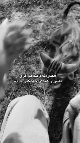 🖤#fyp #zakho 